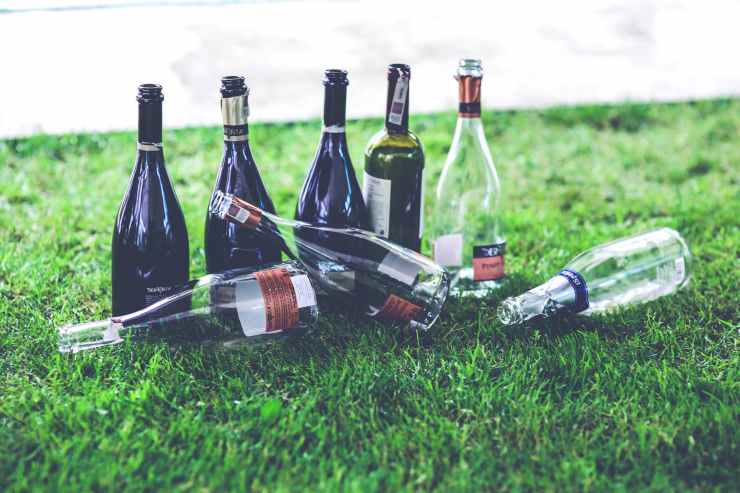 alcohol-glass-grass-drinking.jpg